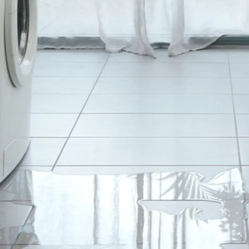 Appliance Leak Cleanup in Key Vista, FL