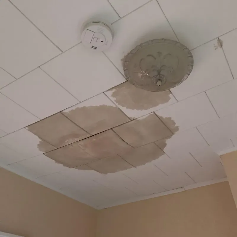 Ceiling Water Damage Repair in Key Vista, FL