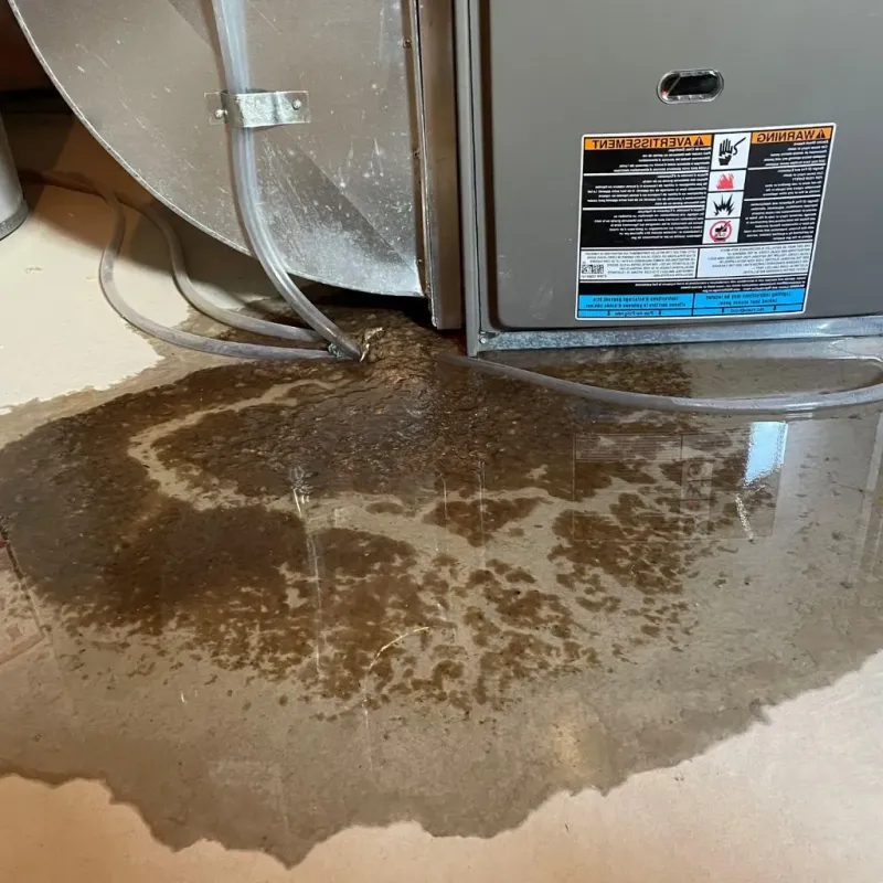Pipe Burst and Leak Restoration in Key Vista, FL