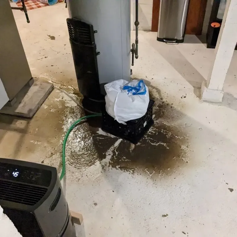Sewage Backup Cleanup Service in Key Vista, FL